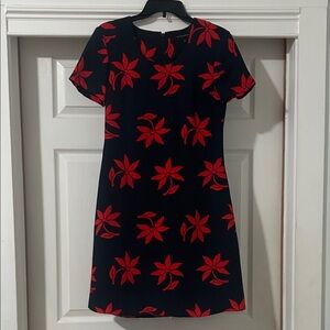 Banana Republic Black and Red Floral Mini Dress